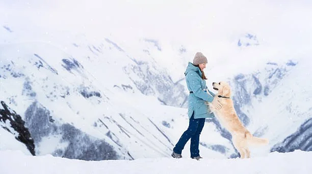 istockphoto-2221639189-612x612.jpg