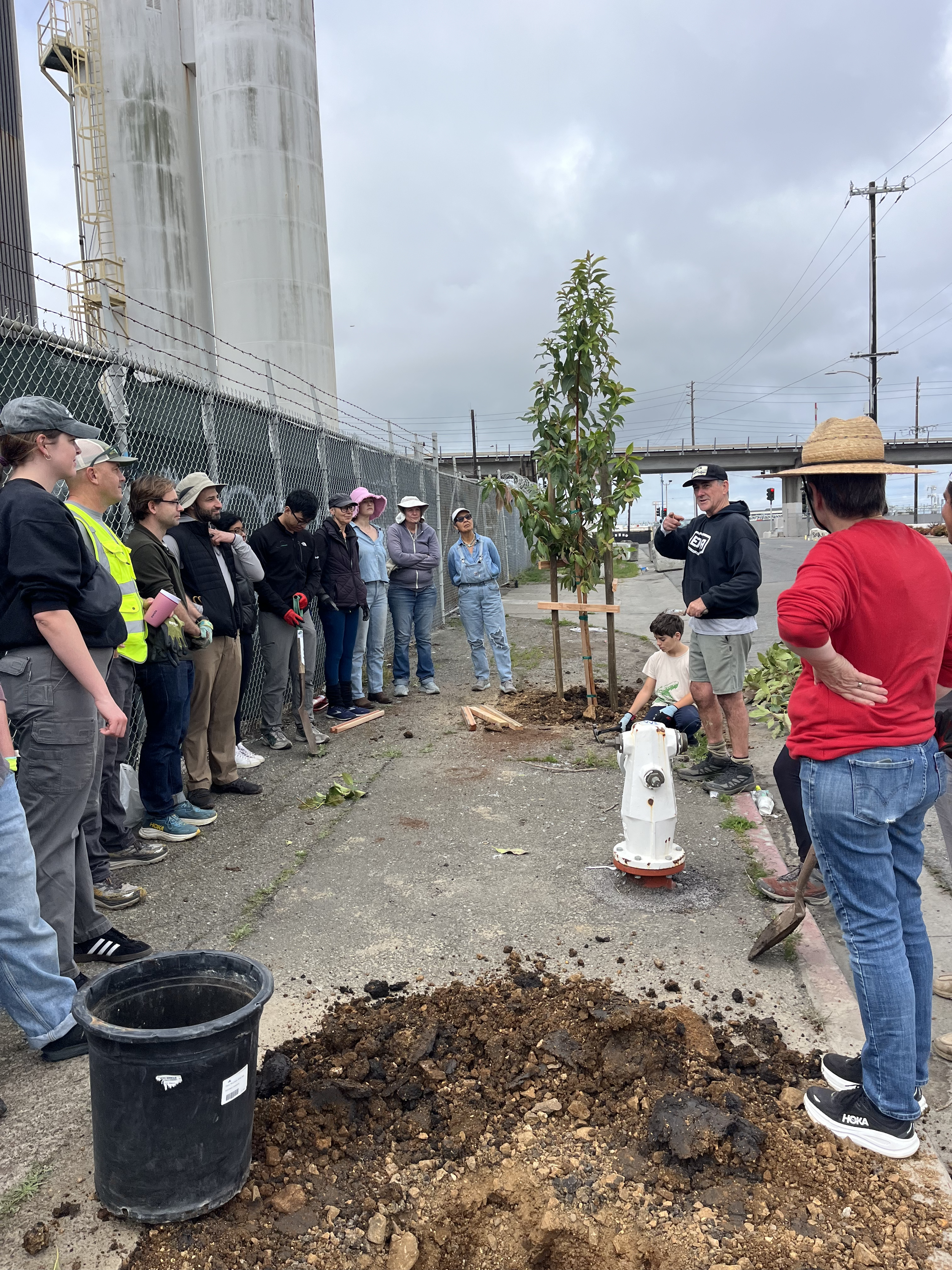 81st St - TreePlanting5.png