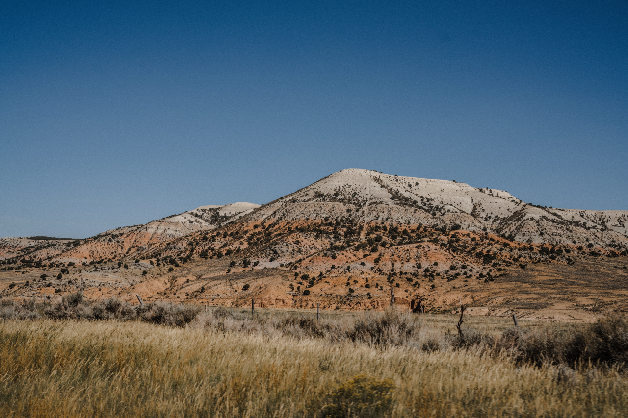 DSC01162 2 Large.png