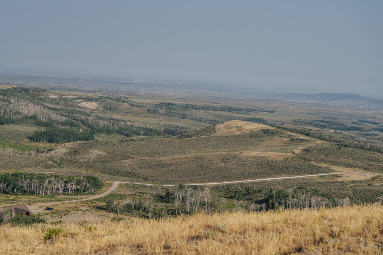 DSC08417 2 Large.png