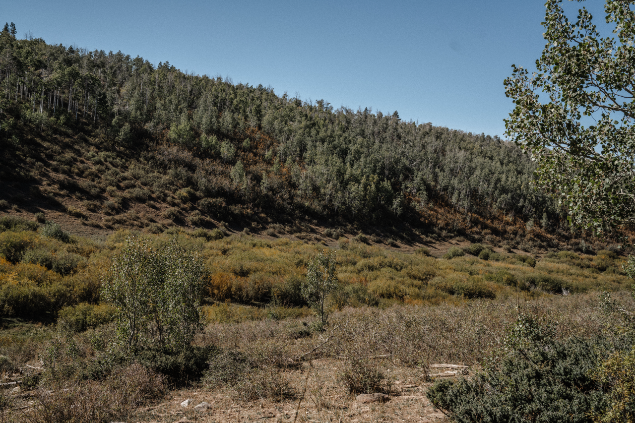 DSC00410 2 Large.png