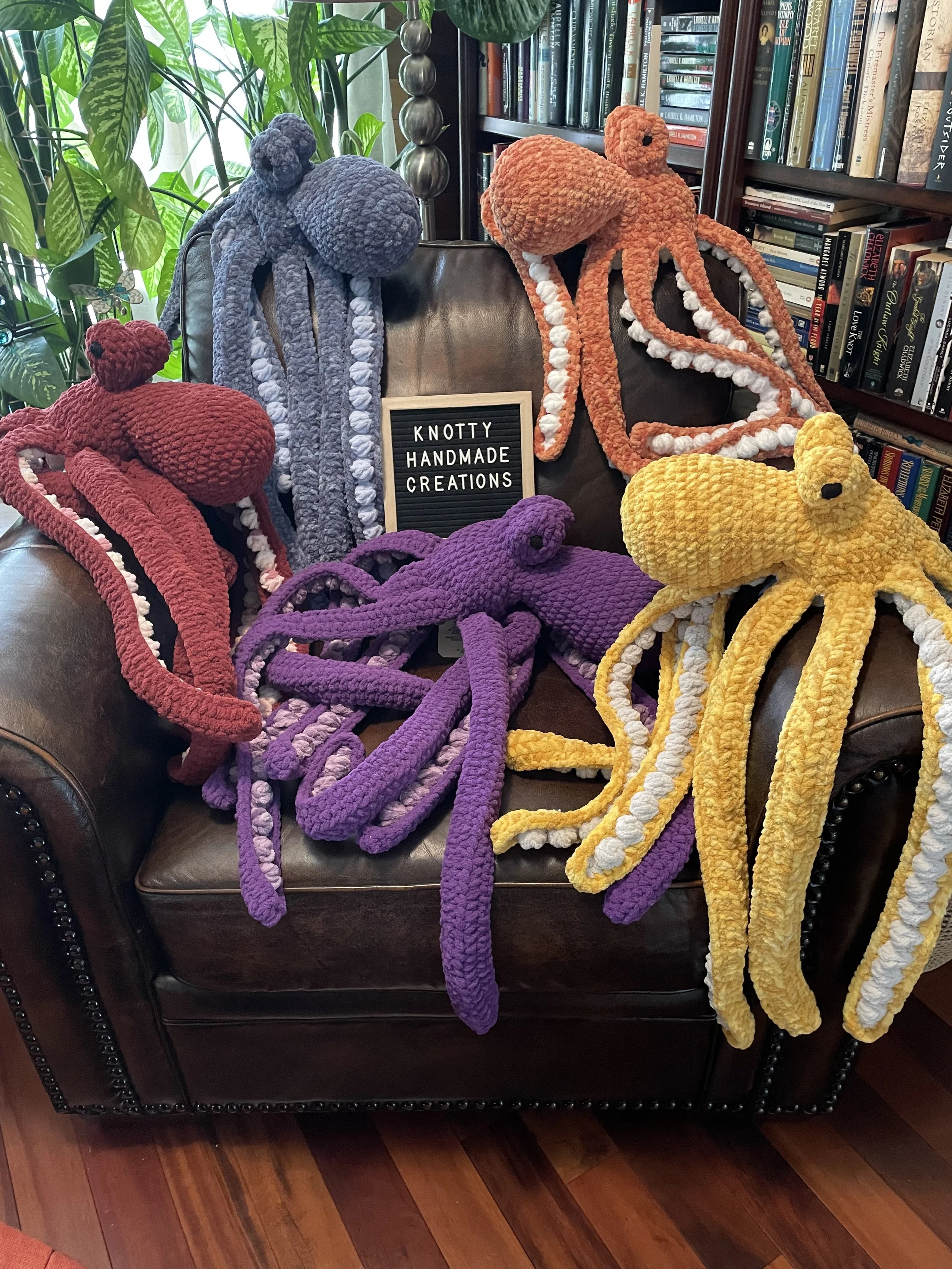 Family of giant Octopus