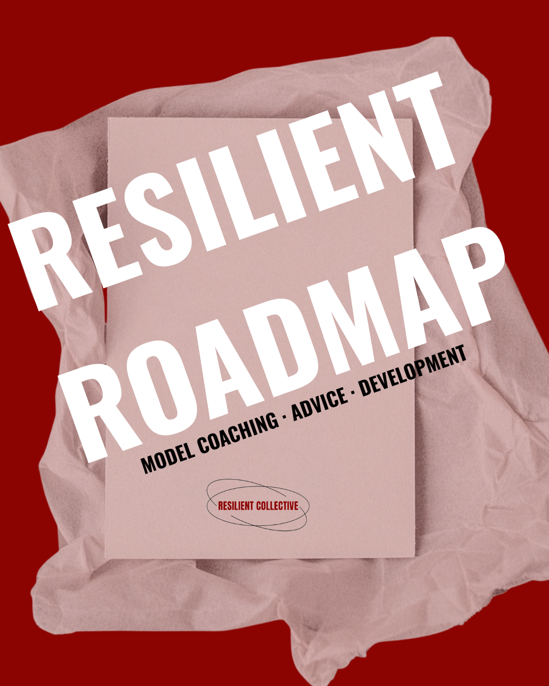 Resilient Roadmap: Breaking Into Modelling