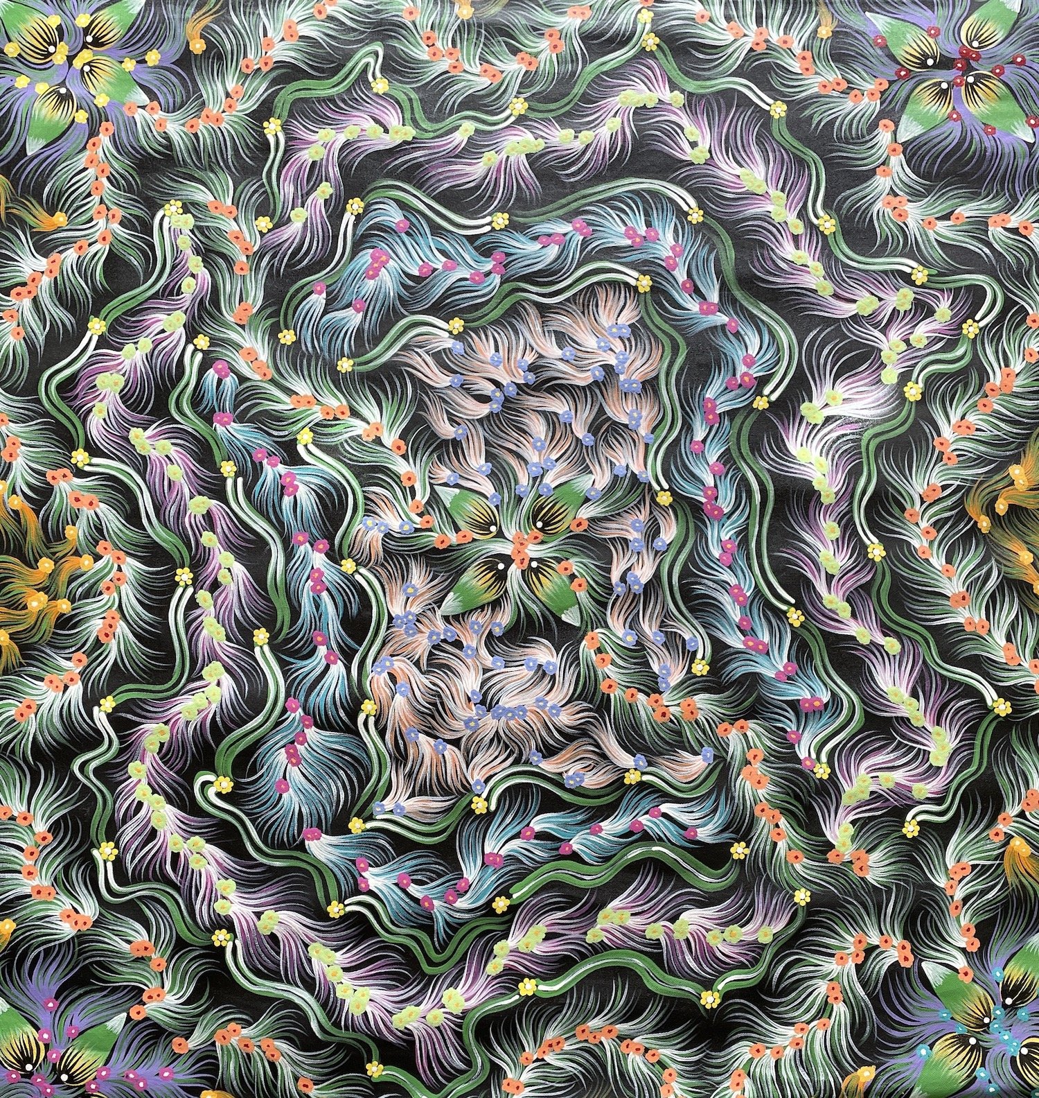 Bush Banana Dreaming #2