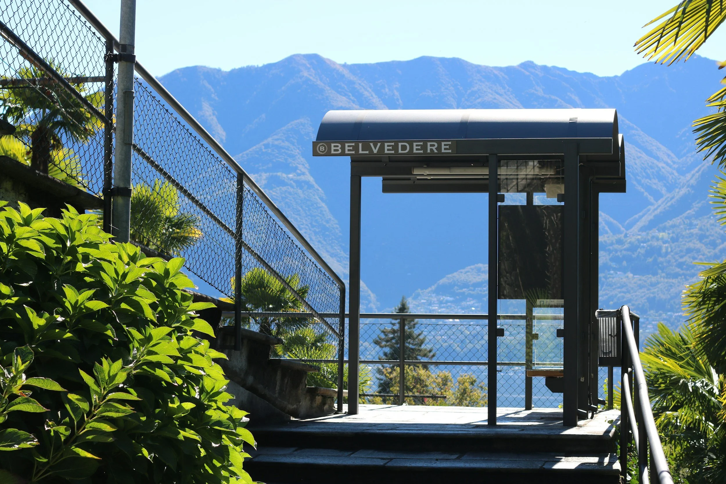 Steel and glass bus shelter labeled 'Belvedere' with mountain range in the background and lush green plants on the side.