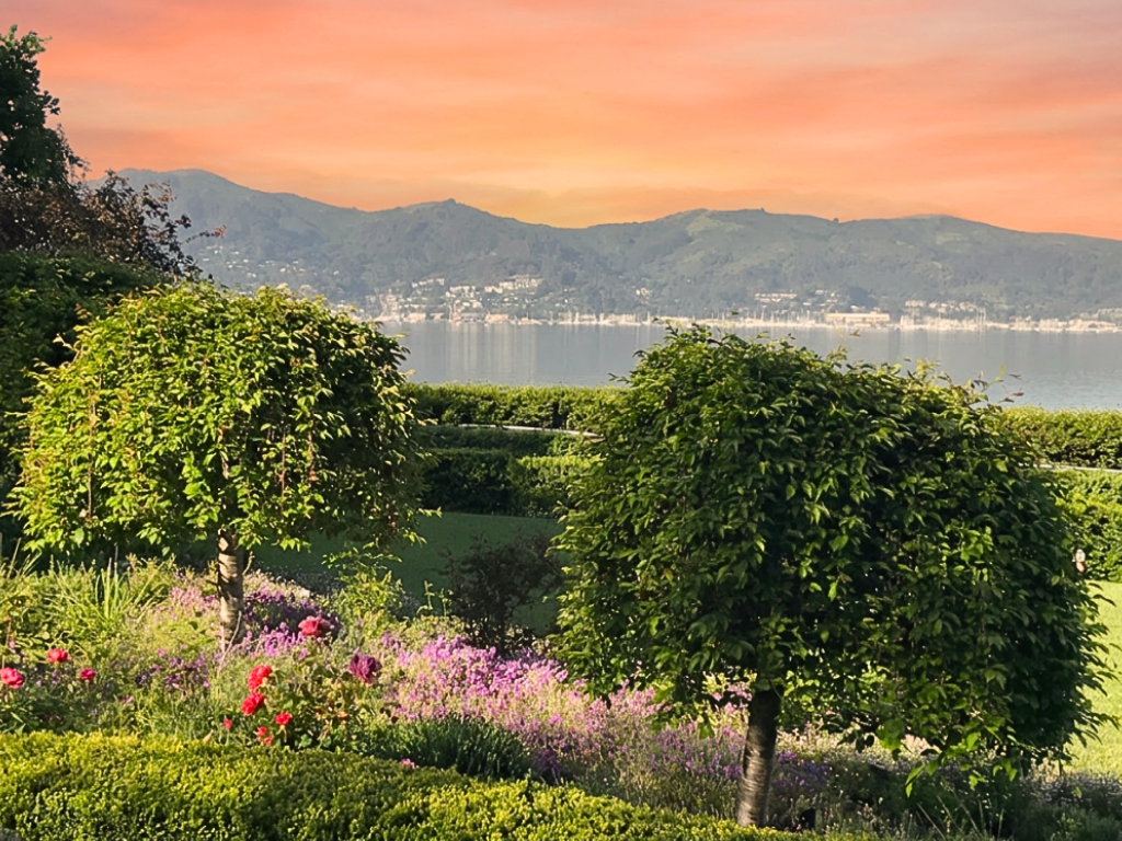 How Professional Landscaping Can Increase Your Home’s Value