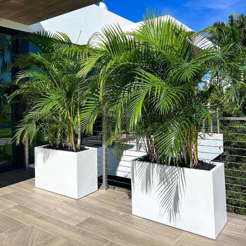 Two large palm trees in white rectangular planters on a balcony with wooden flooring, overlooking a blue sky and green trees in the background.