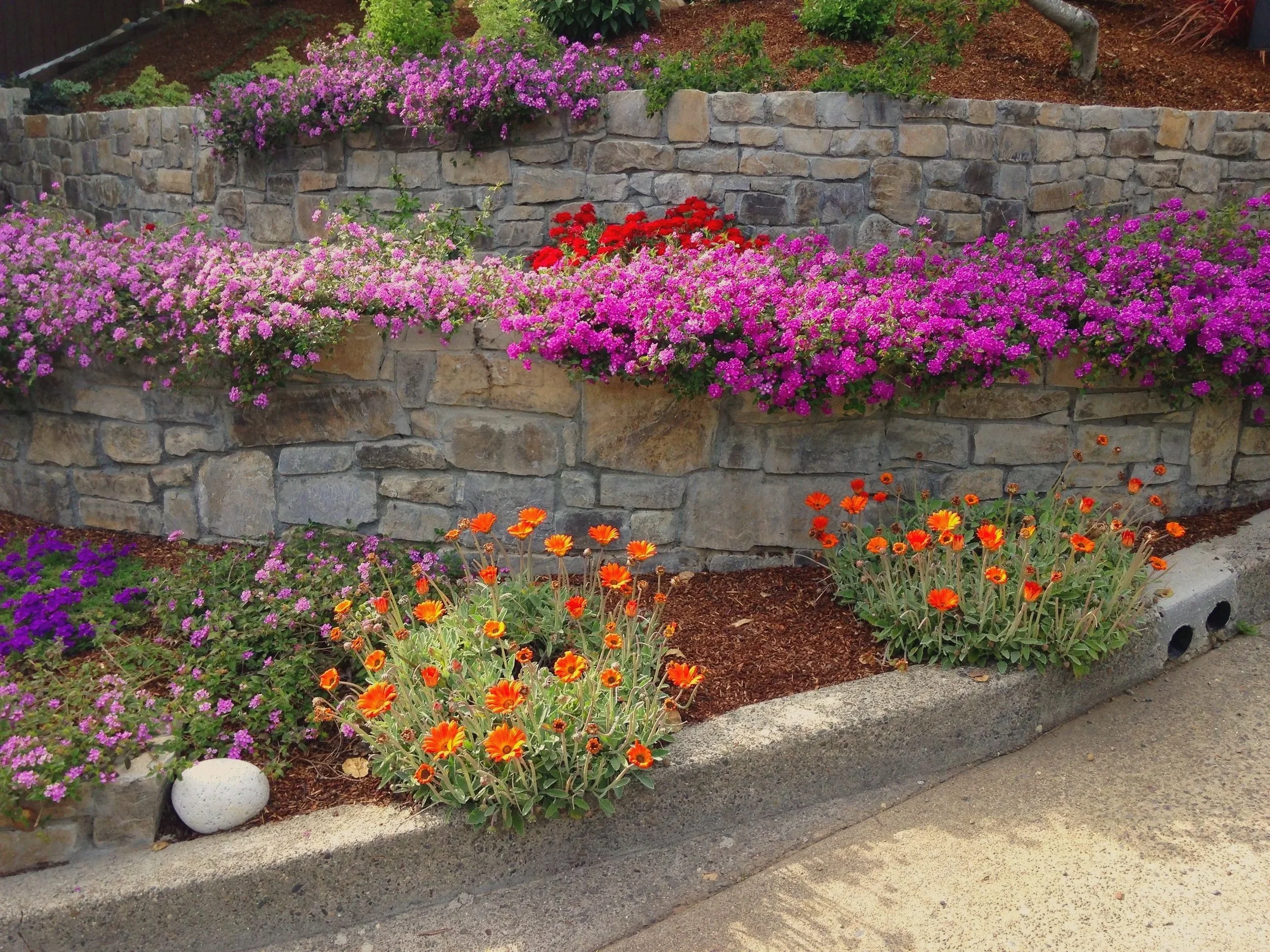 Sunset view of a landscaped garden with stone retaining walls, colorful flowers, bushes, and a staircase with a wooden railing.