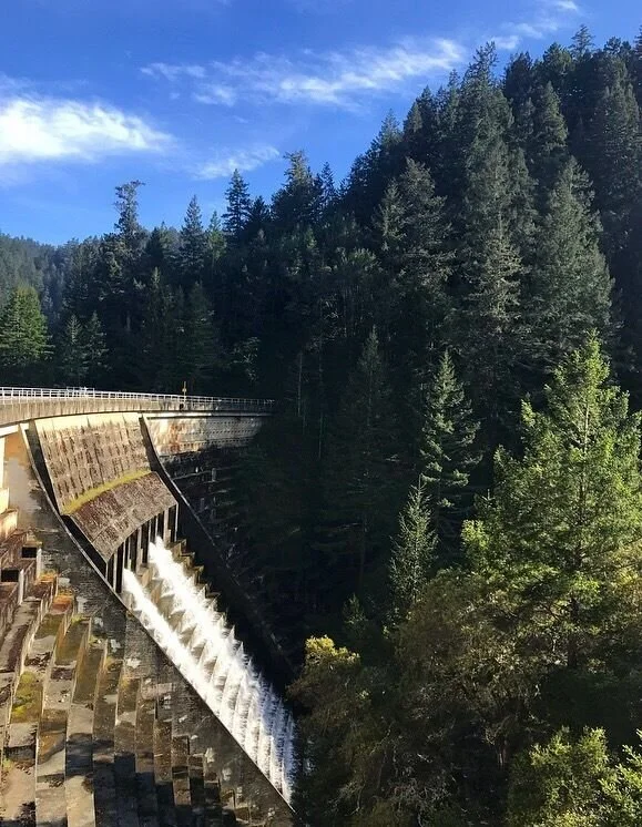 A dam releasing water with a forested hillside and blue sky in the background.