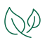 Simple line drawing of a leaf