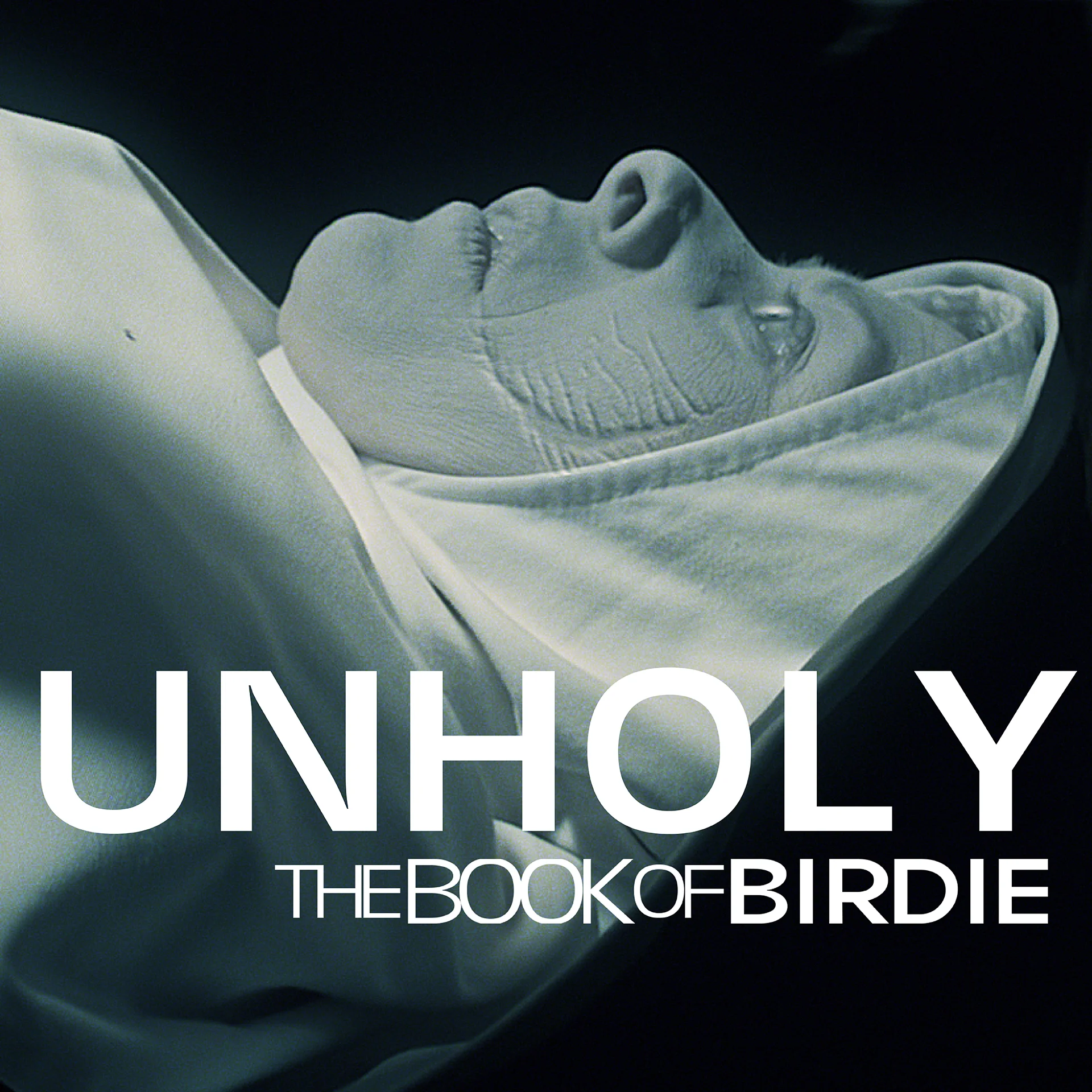 Unholy: The Book of Birdie - Promo image