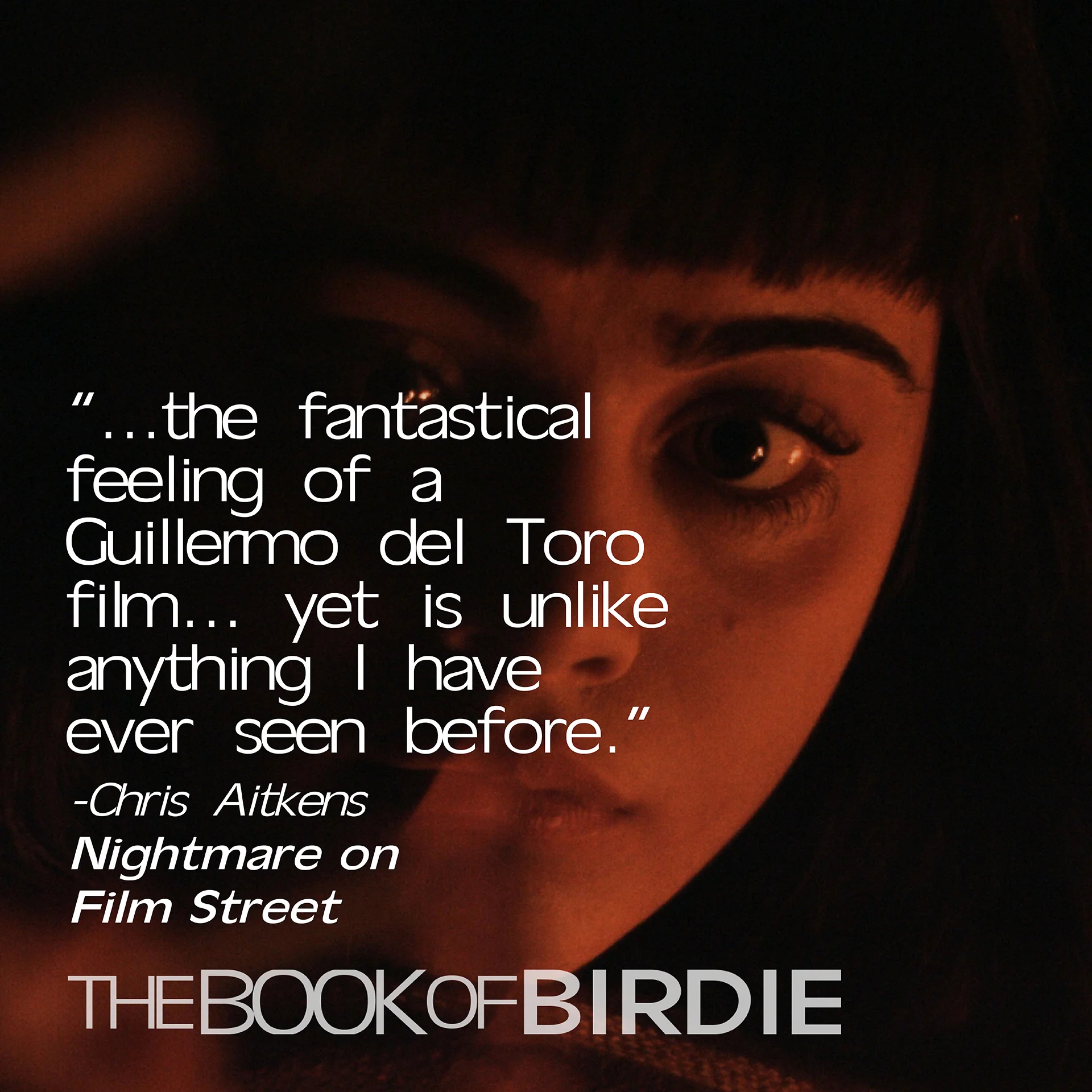 Film review quote: The fantastical feeling of a Guillermo del Toro film