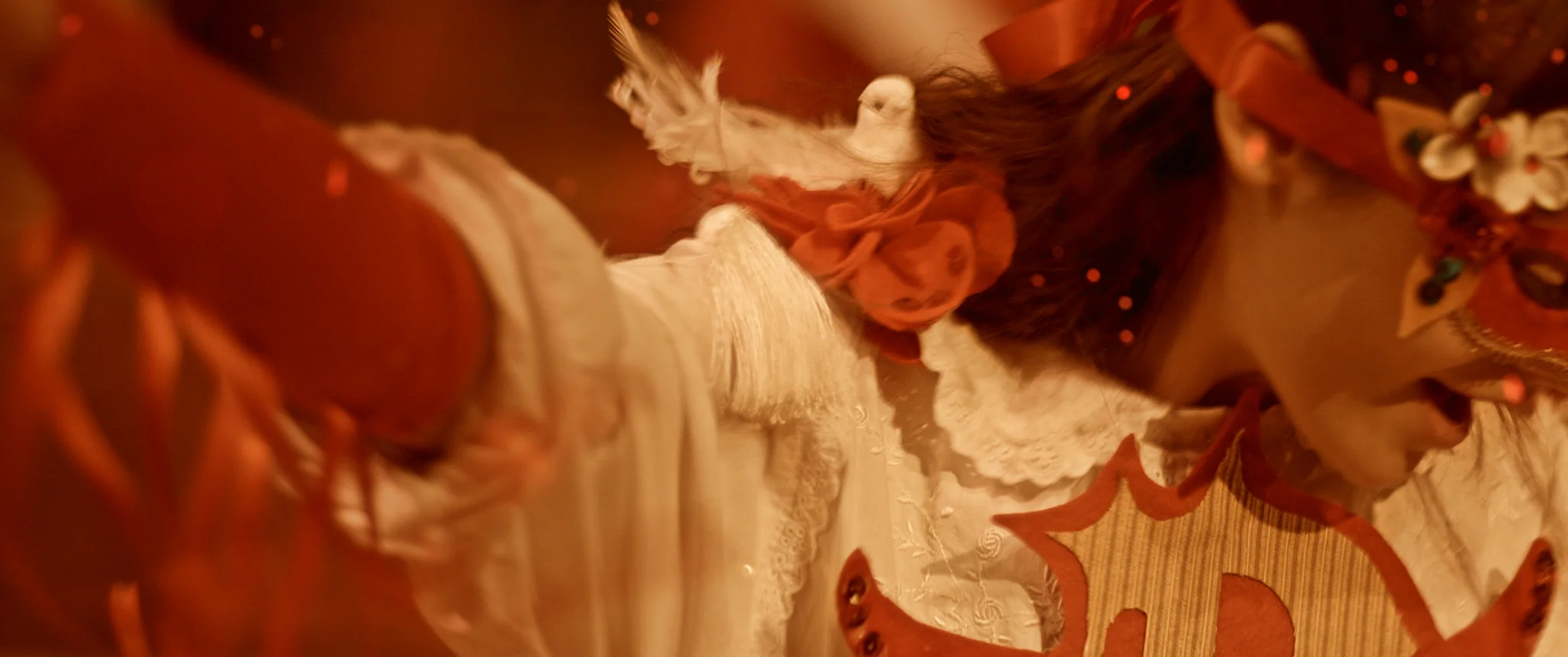 The Book of Birdie - Superhero fantasy