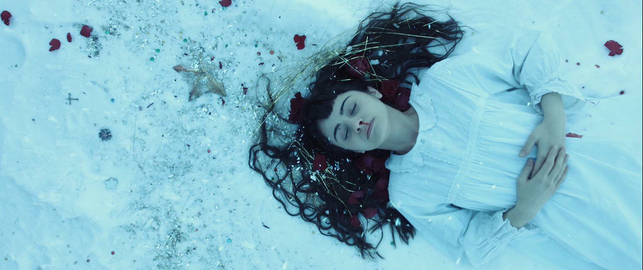 The Book of Birdie - Birdie in snow 