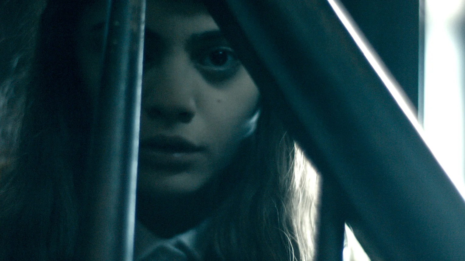 The Book of Birdie - Birdie seeing fantasy vision