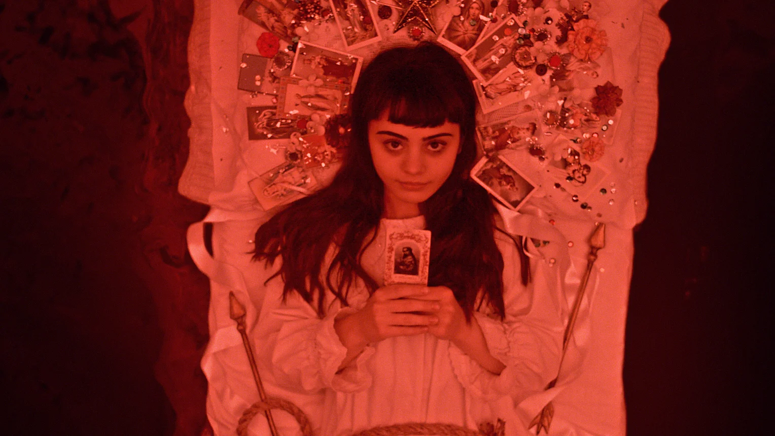 The Book of Birdie - Promo image