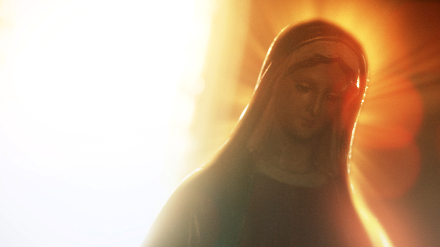 The Book of Birdie - Vision of the Virgin Mary