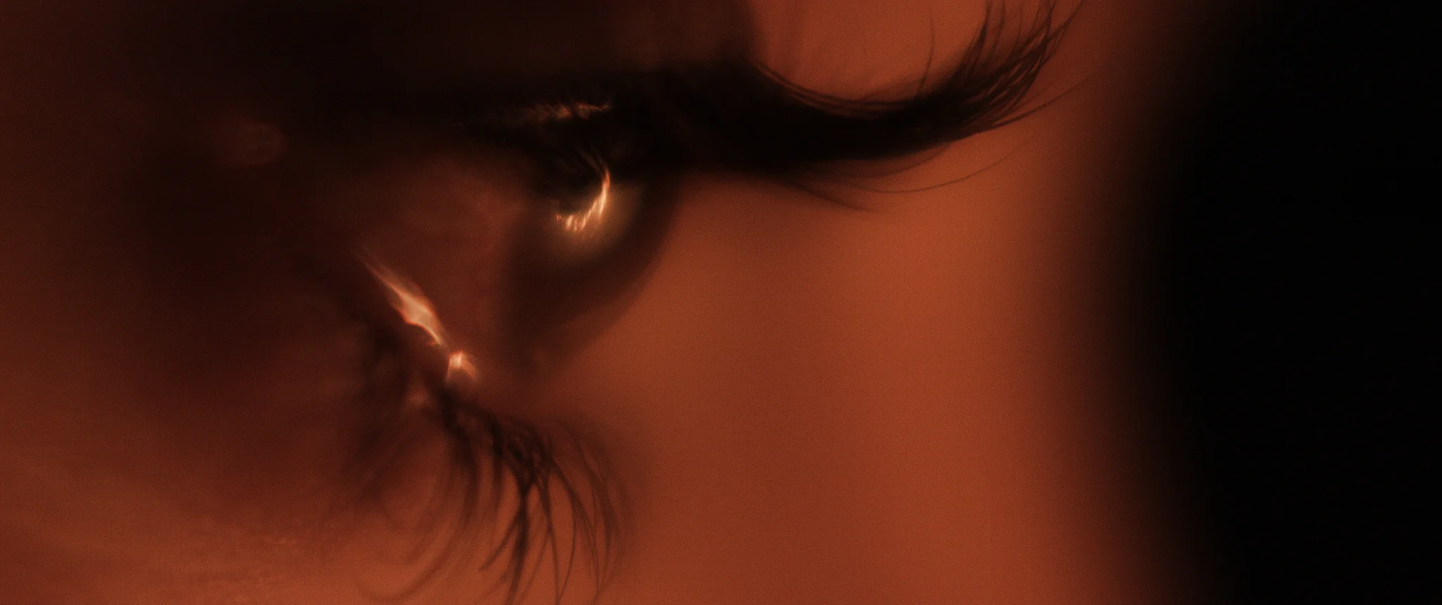 The Book of Birdie - Eye close-up