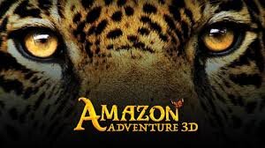 Amazon Adventure