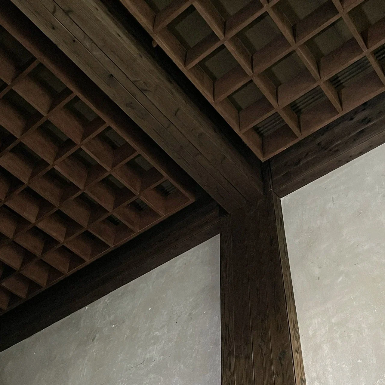 S__9863275.jpg