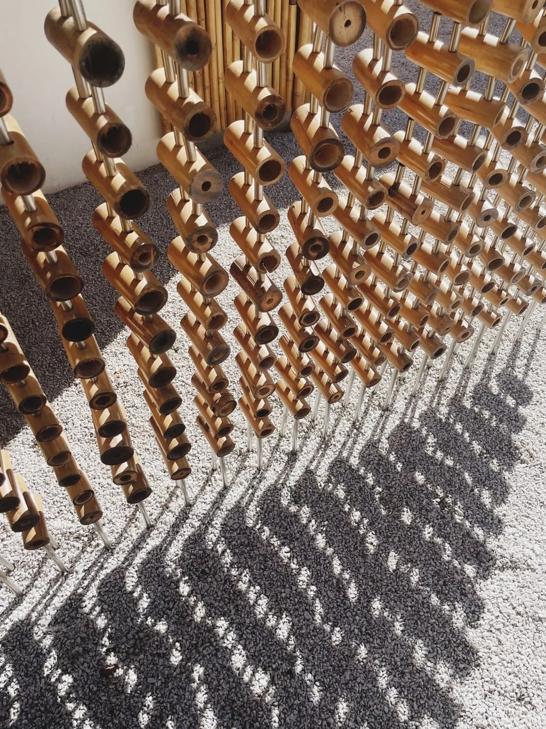 247299744_357101062865954_3311966509842284150_n.jpg
