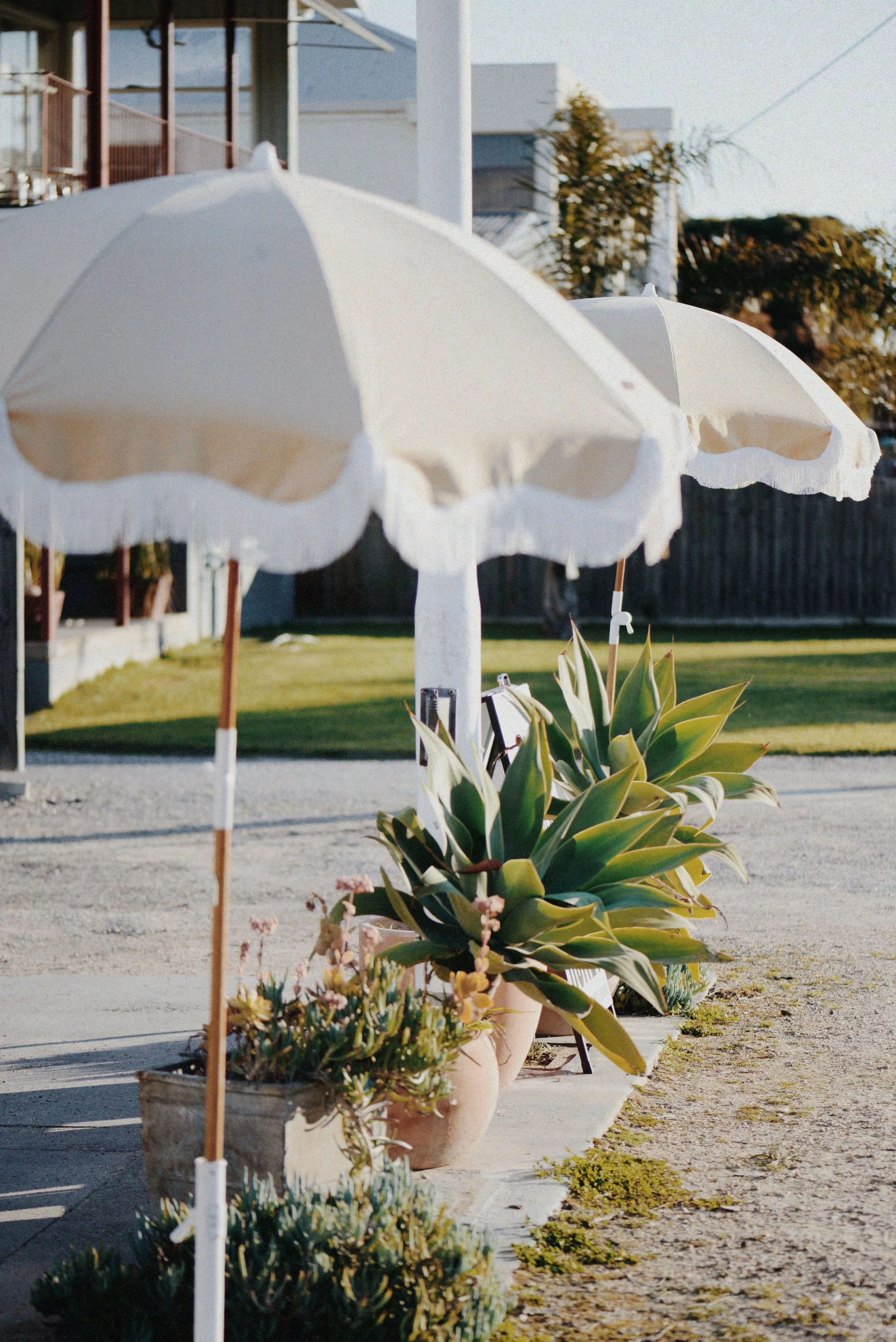 Photo 10-8-2024, 5 19 28 PM.JPG