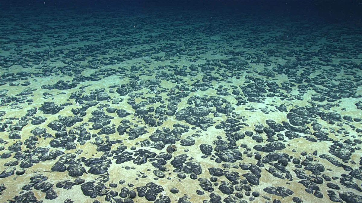 seafloor-nodules.jpg