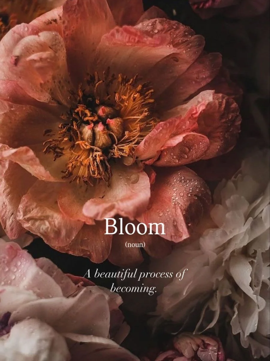 TIME TO BLOOM

Like a flower, there will come a day when you open yourself to the world and allow yourself to be seen.
But unlike a flower, you have the gift of blooming in any season.

Yes, all the preparation matters.
All the inner work, the healin