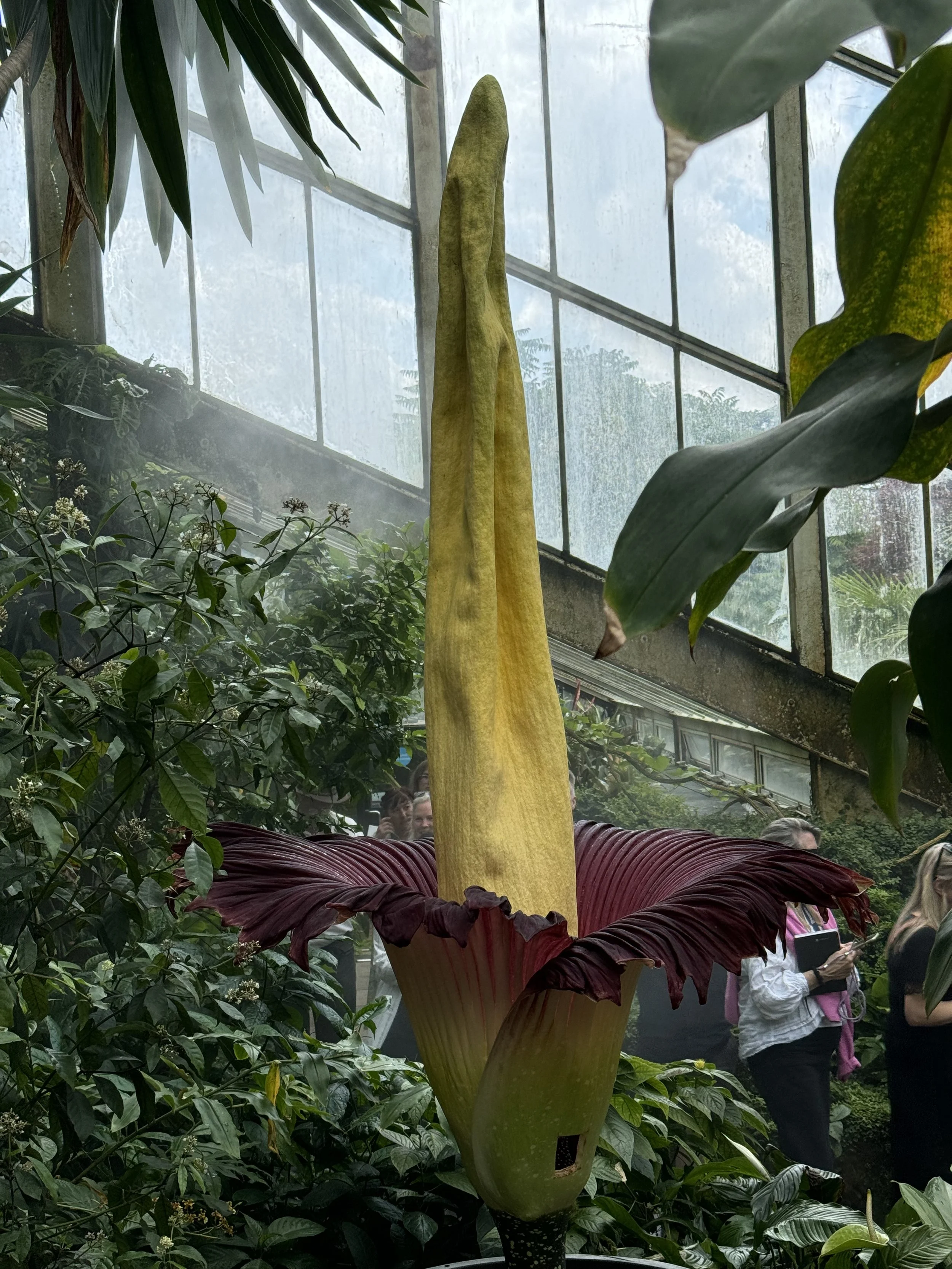 Day Twenty Five, Kew