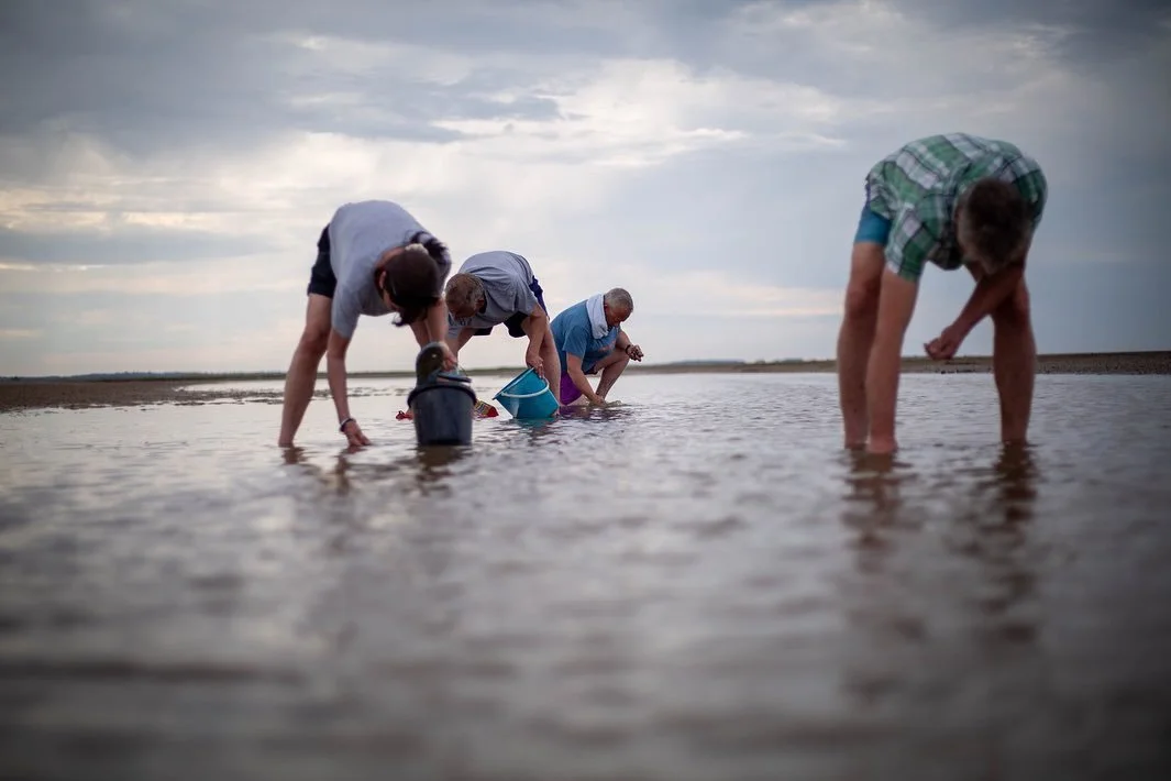 Foraging for cockles
