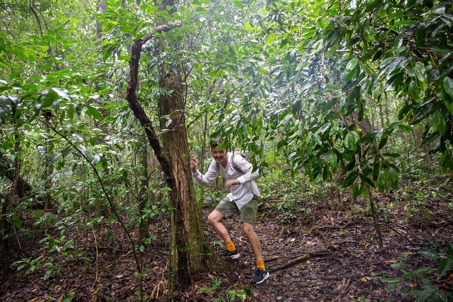 Saw sea turtles, toucans, various spiders, monkeys, ants, centipedes, lizards, vultures, starfish, sea urchins.