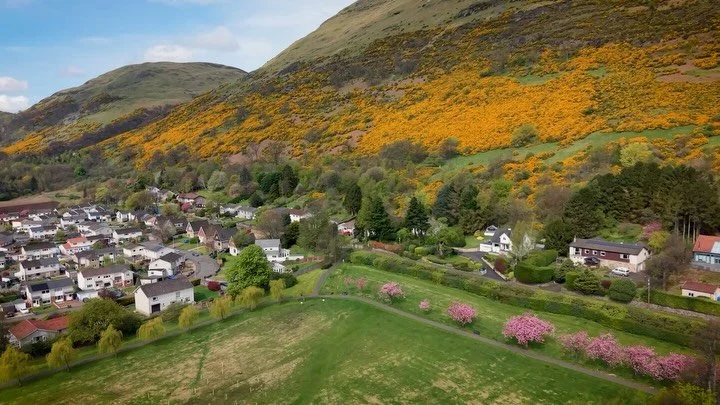 Postcards from the Scottish Elections.