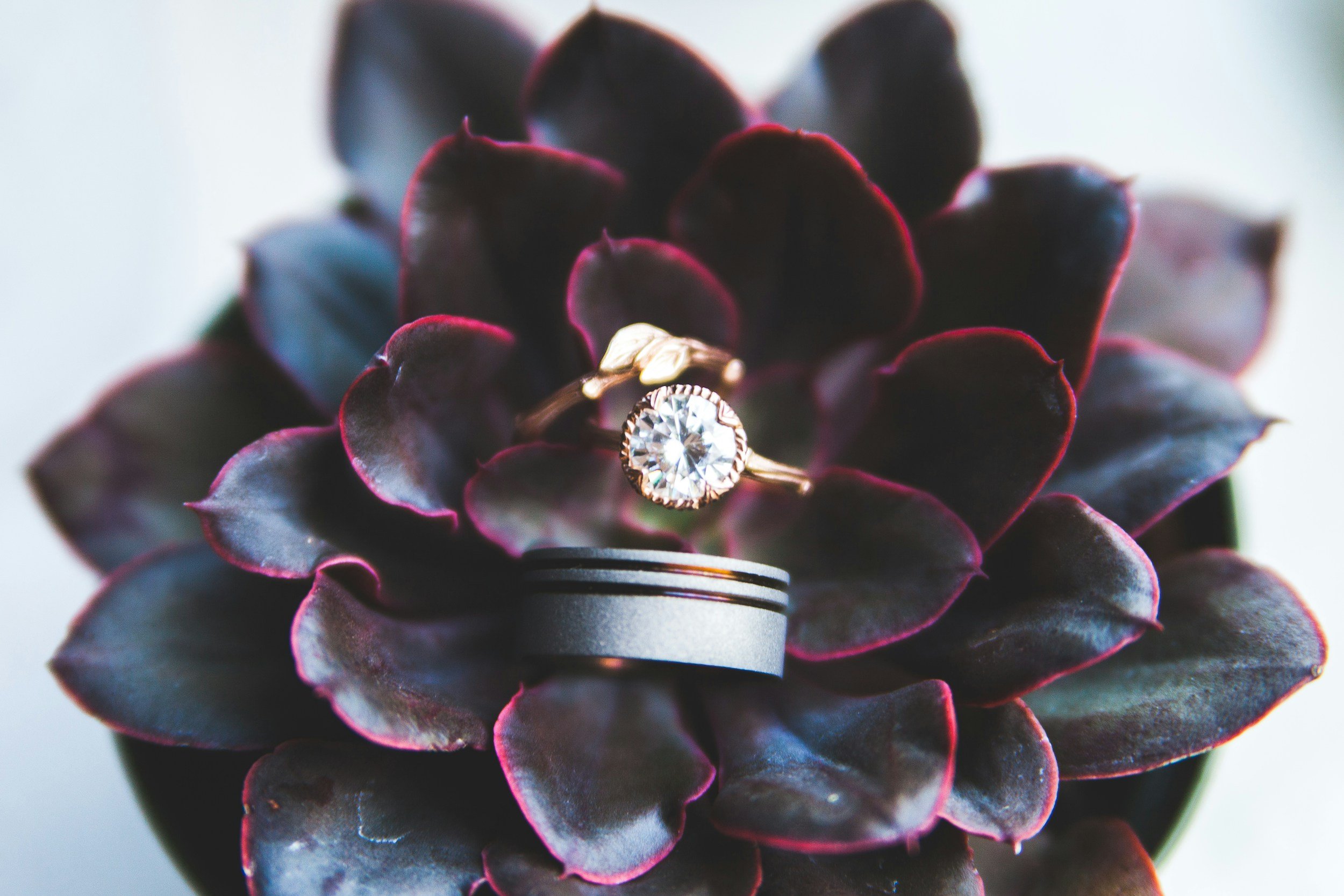 Timeless Elegance Crafted