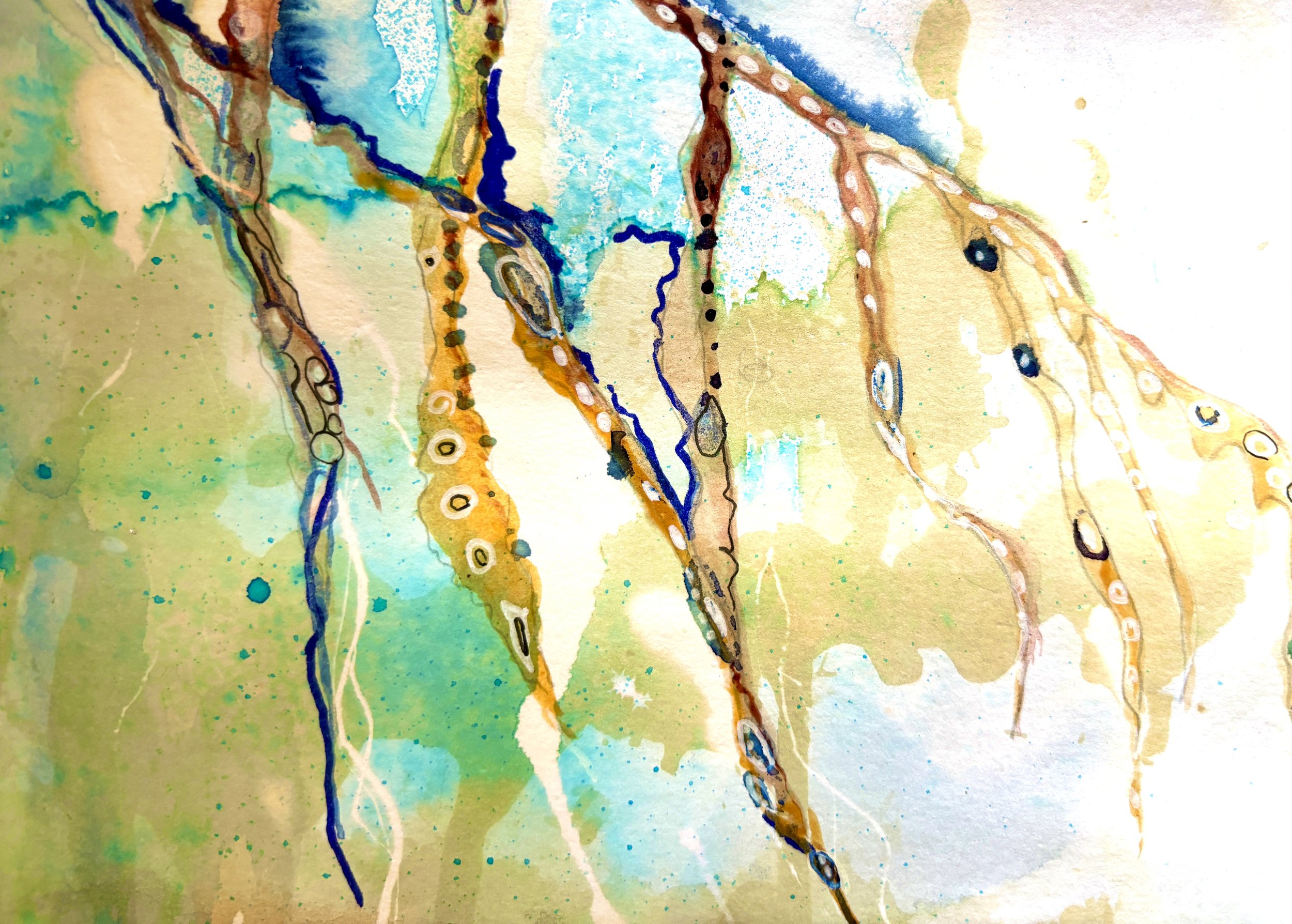 Seaweed Suspended
