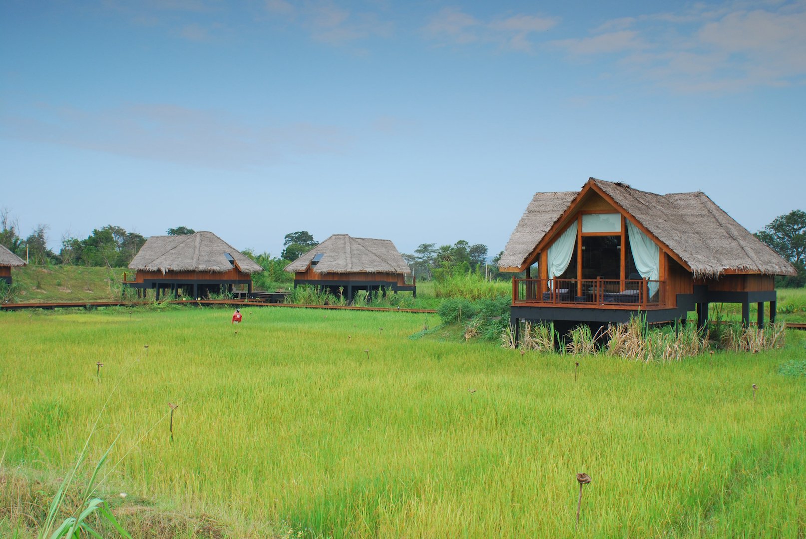 Dwellings+Over+Paddy.jpeg