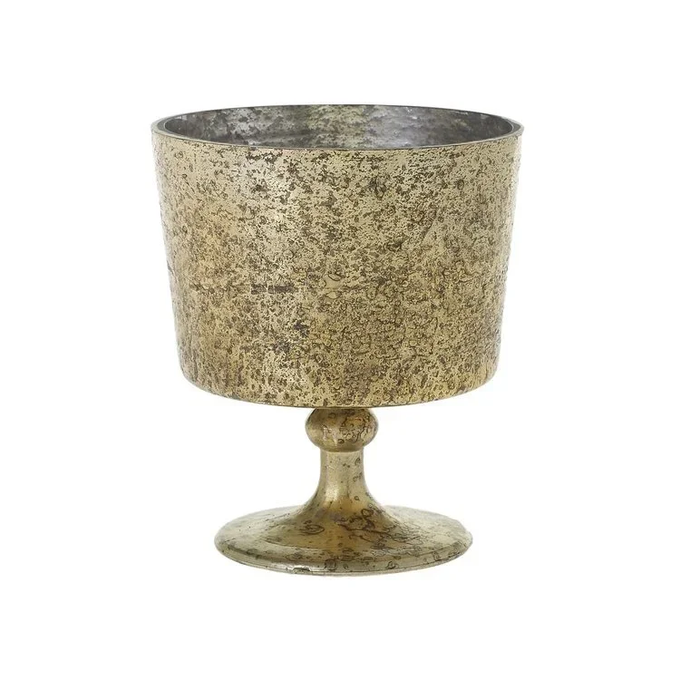 Gold Contessa Compote