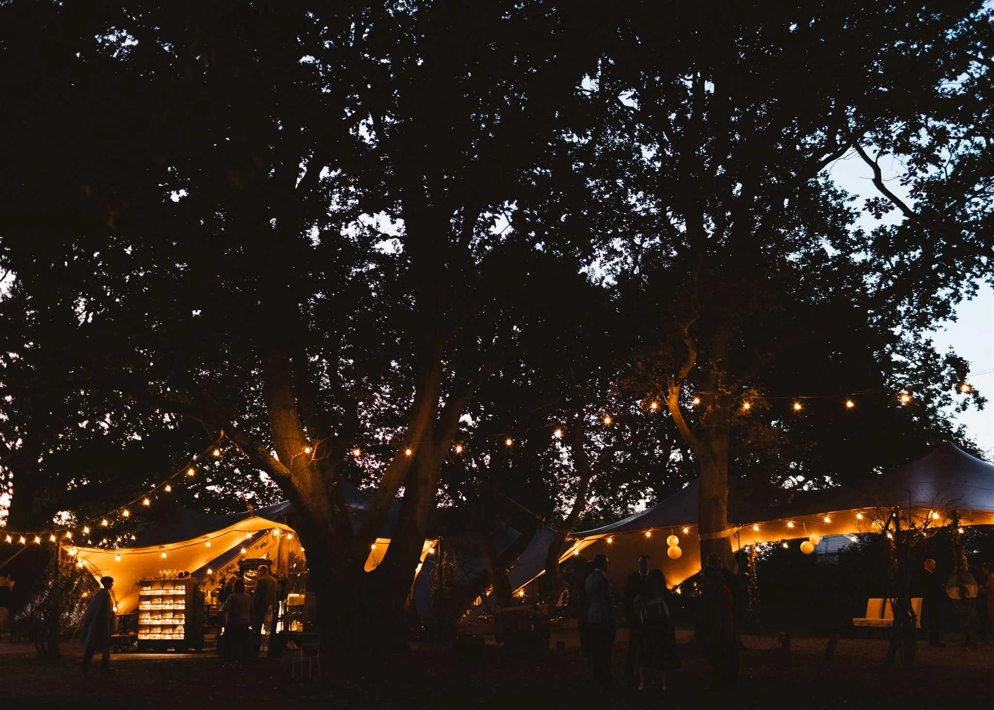 Outdoor evening event under large trees decorated with string lights and lanterns, with people mingling near tents and displays.