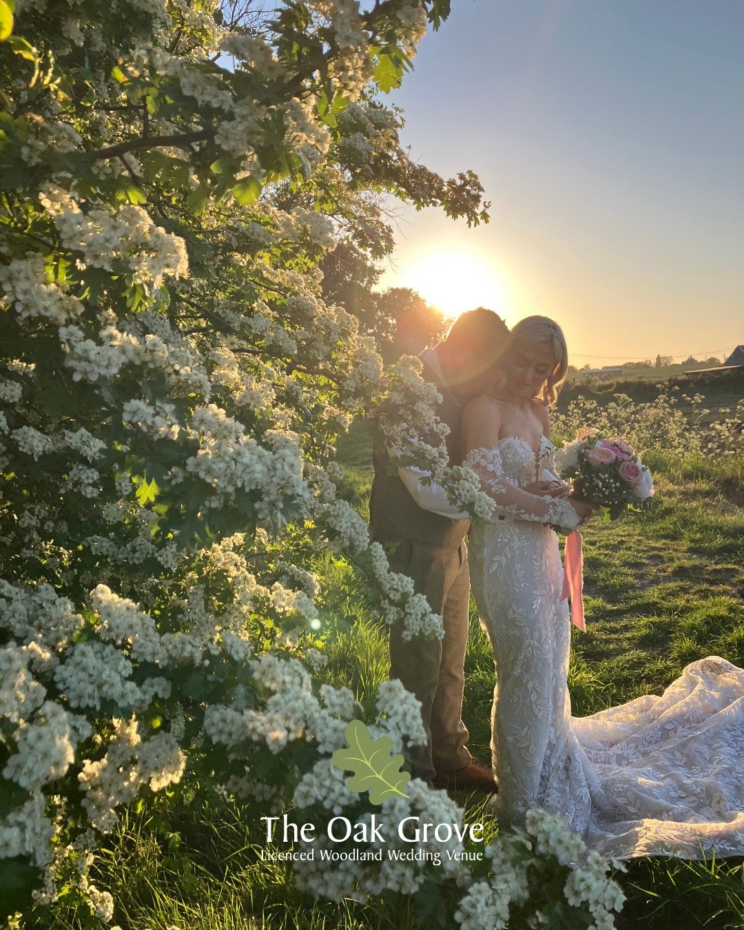 Happy New Year from The Oak Grove 

As we say goodbye to 2025, we&rsquo;re feeling grateful for all the love, laughter and unforgettable celebrations shared in the woods this year. Thank you to our wonderful couples, their loved ones, and our amazing