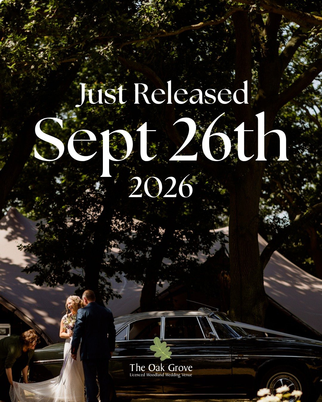 🤍 We have unexpectedly had a wedding date become available at short notice.

If you have been dreaming of a woodland wedding sooner than expected, this could be a rare opportunity to celebrate surrounded by nature, warmth and the people you love mos