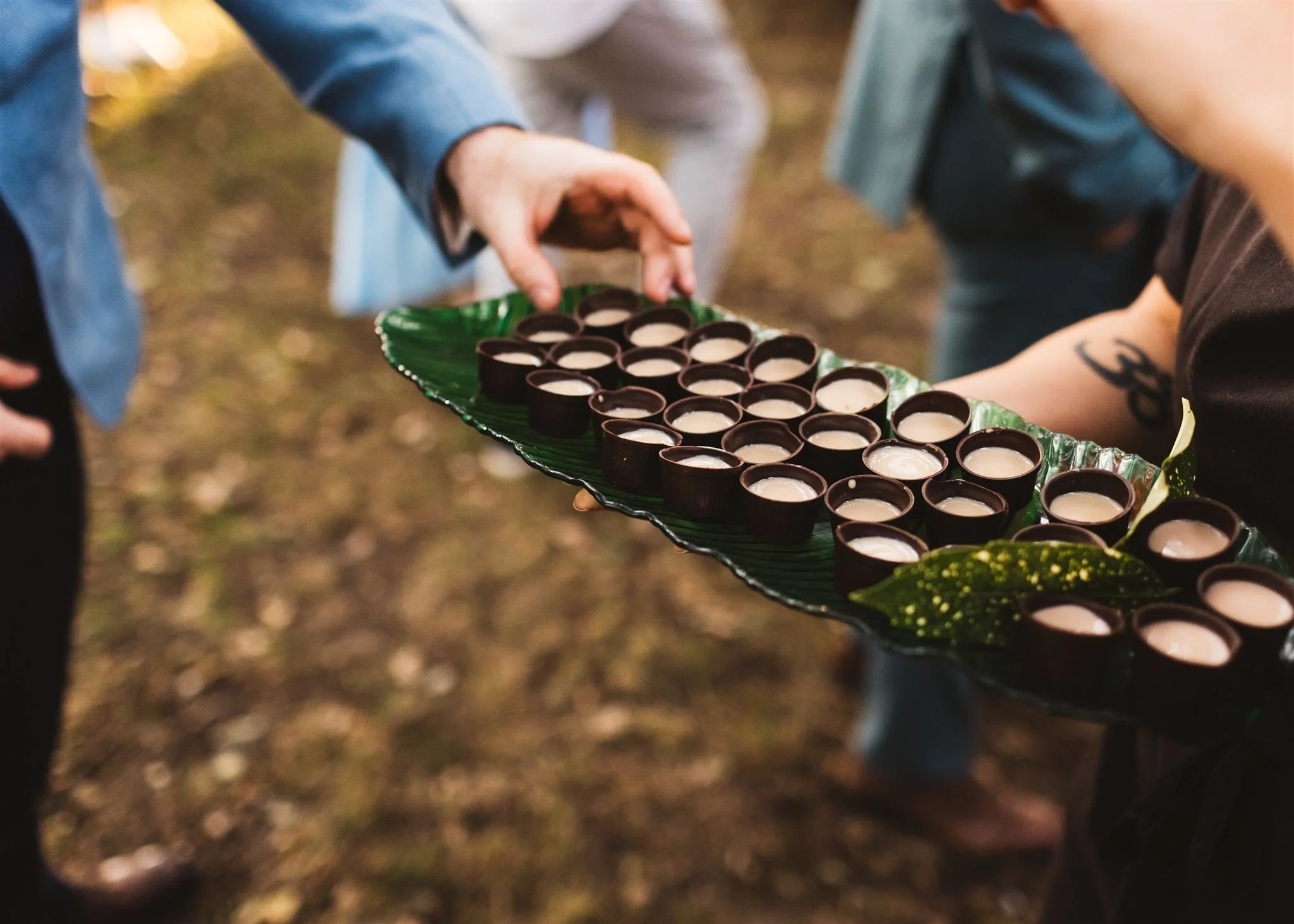 Person holding a tray of small chocolate cups filled with a light pink or beige filling, on a leafy tray, with other people visible in the background, outdoors on a natural ground.