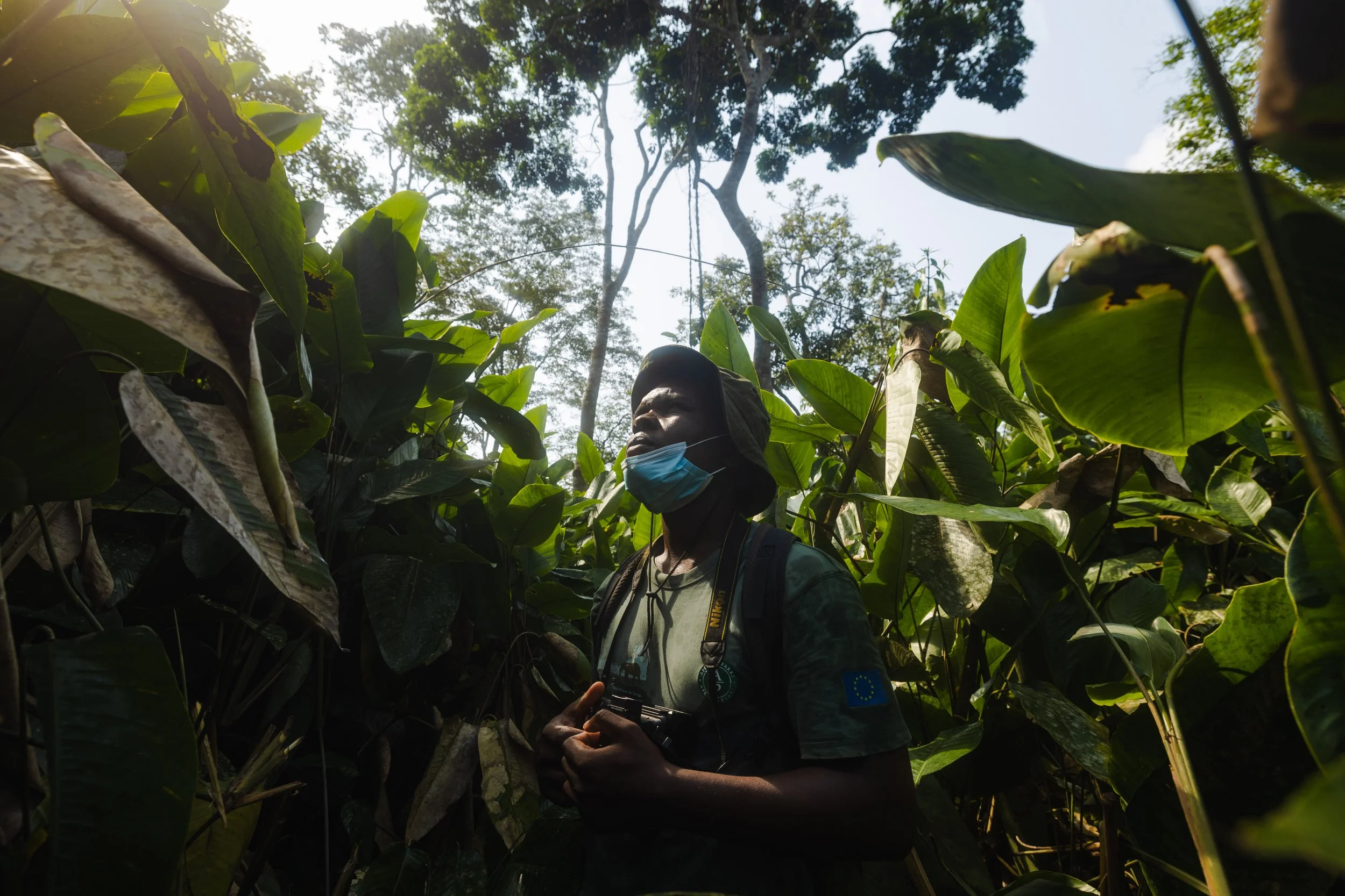 Odzala-Kokoua National Park, Republic of Congo - Gorilla Habituation Team