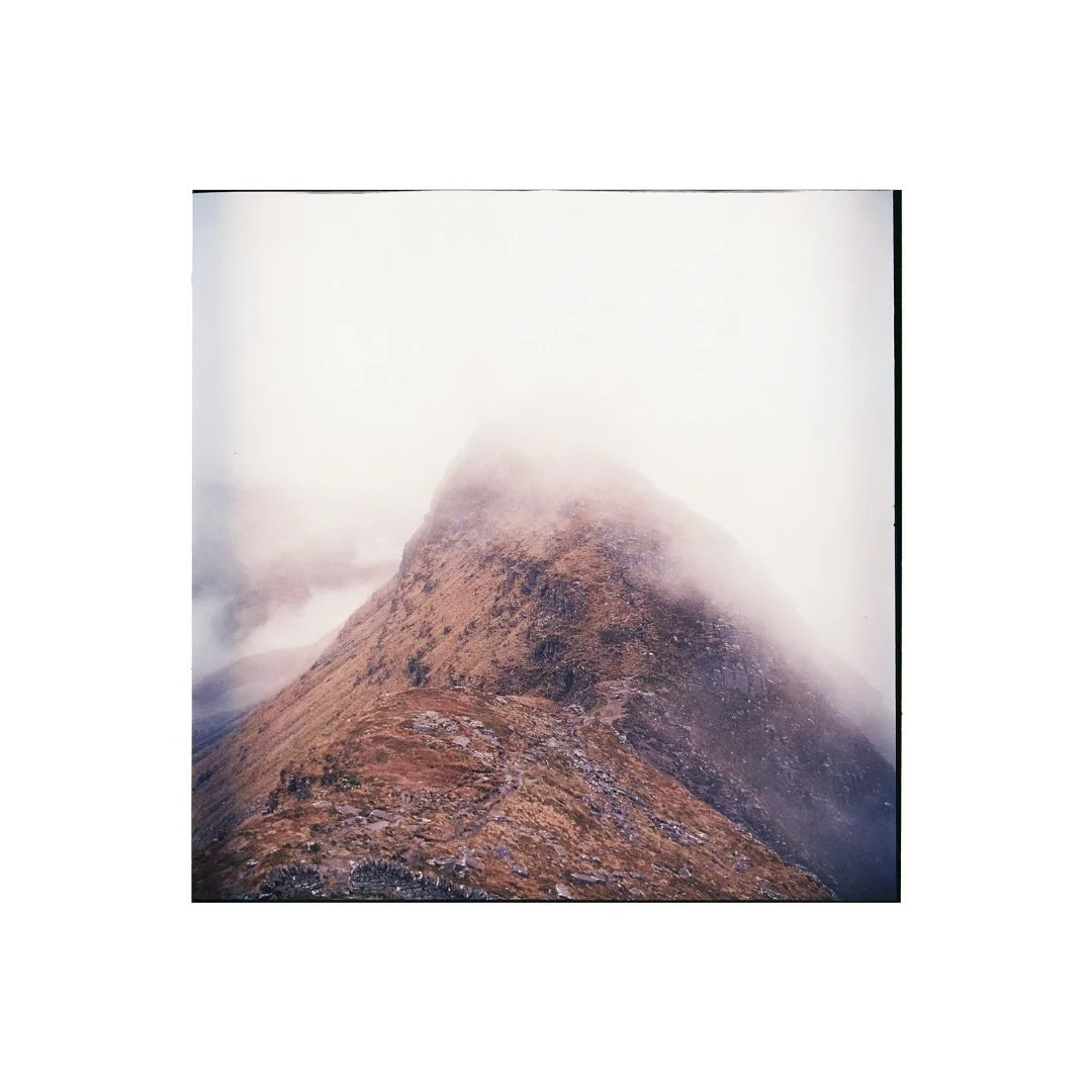 Sullivan on a gloomy day. #lomography #colournegative400 #120film