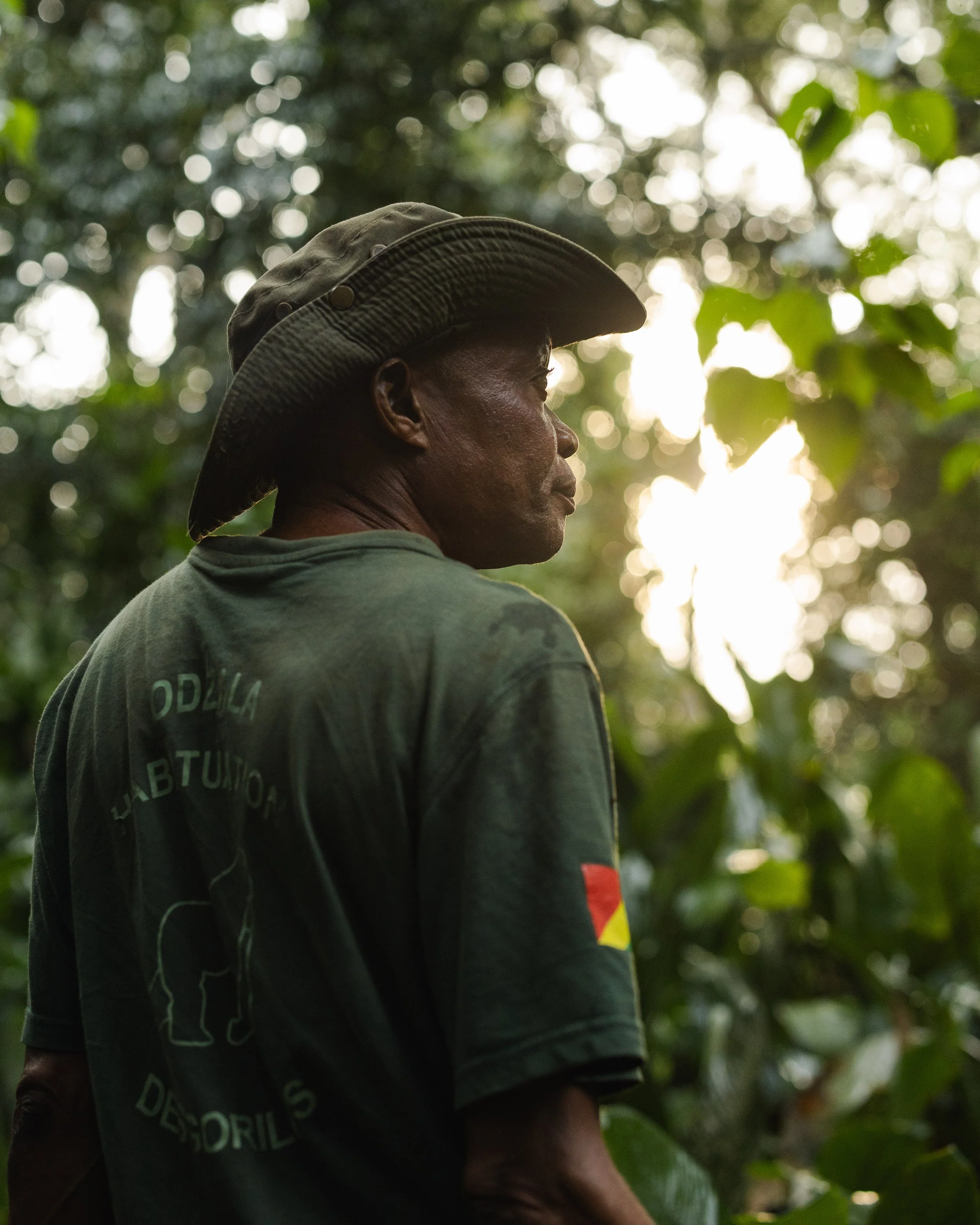 Odzala-Kokoua National Park, Republic of Congo - Gorilla Habituation Team