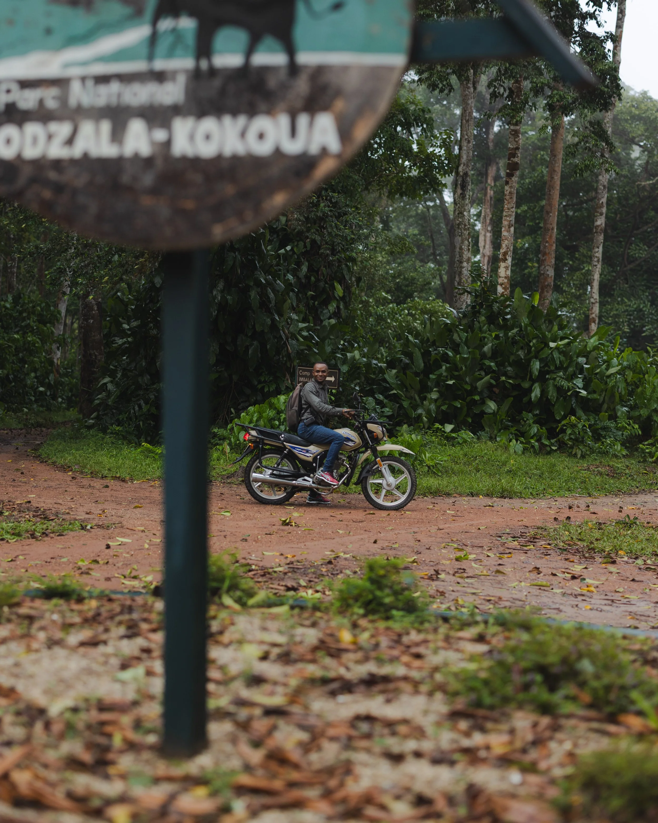 African_Parks_Republic_of_Congo_Odzala_Kokoua_National_Park_Camp_Gorilla_Habituation_December_2025_Sarah_Wang1234.jpg