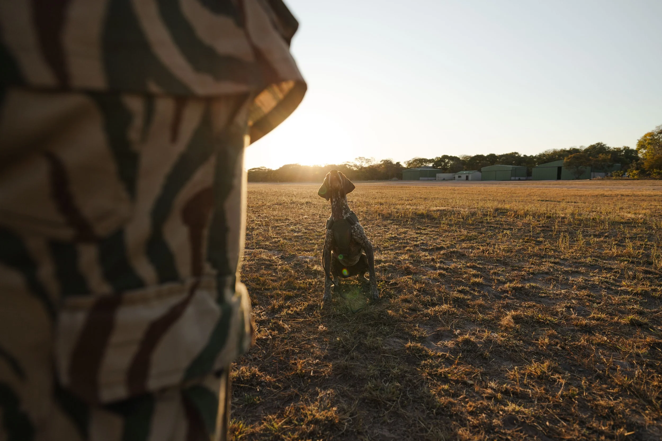 African_Parks_Kafue_K9_Unit_2025_Sarah_Wang-36.jpg
