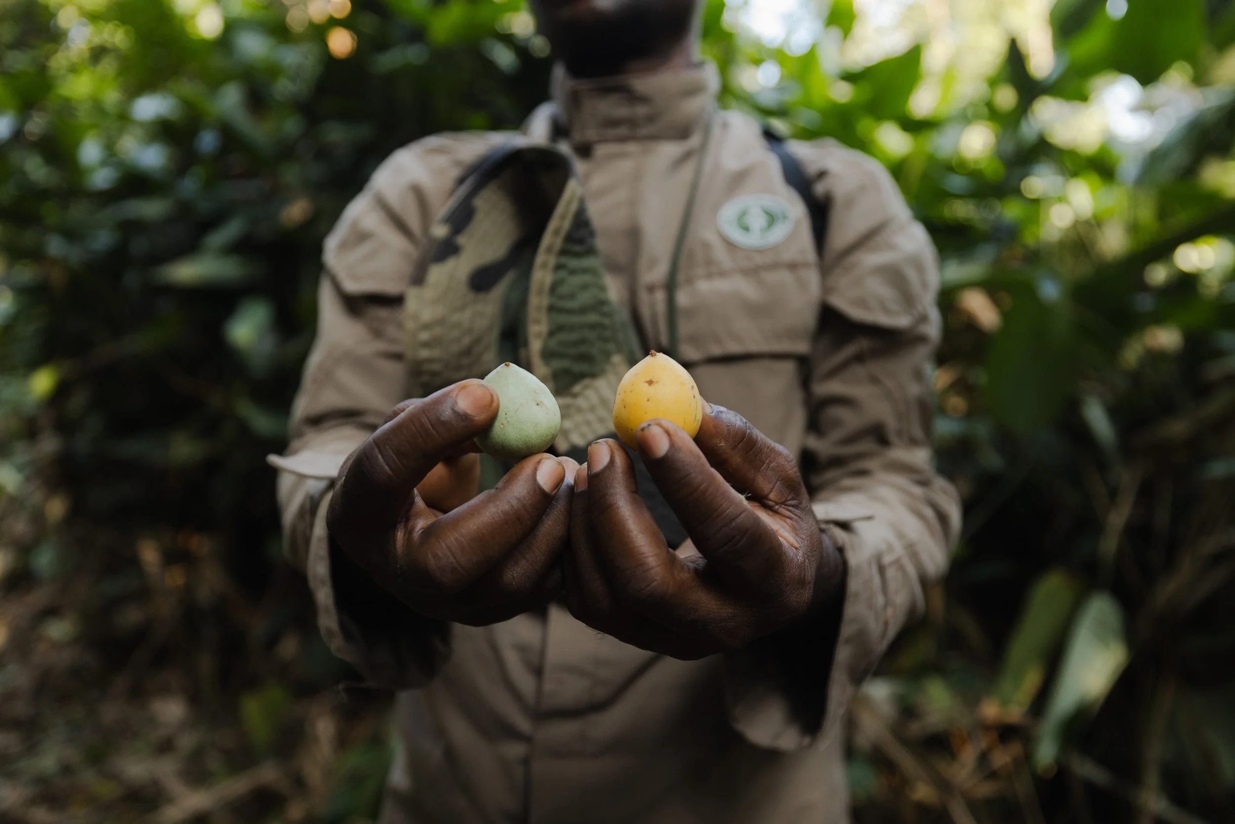 African_Parks_Republic_of_Congo_Odzala_Kokoua_National_Park_Nature_Walk_December_2025_Sarah_Wang31.jpg