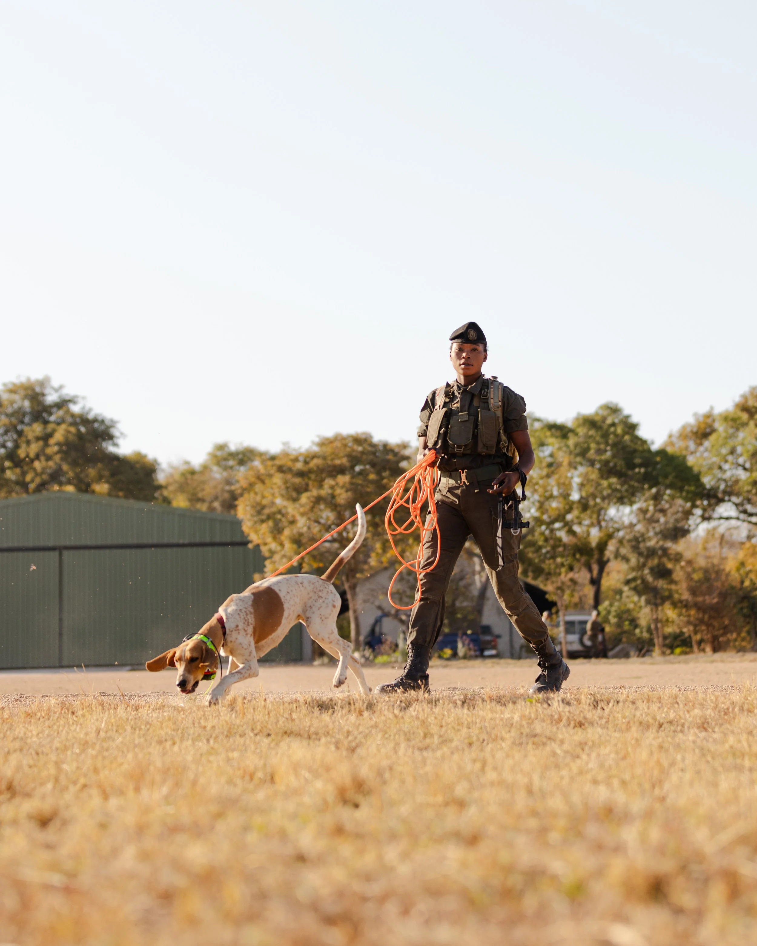 African_Parks_Kafue_K9_Unit_2025_Sarah_Wang.jpg