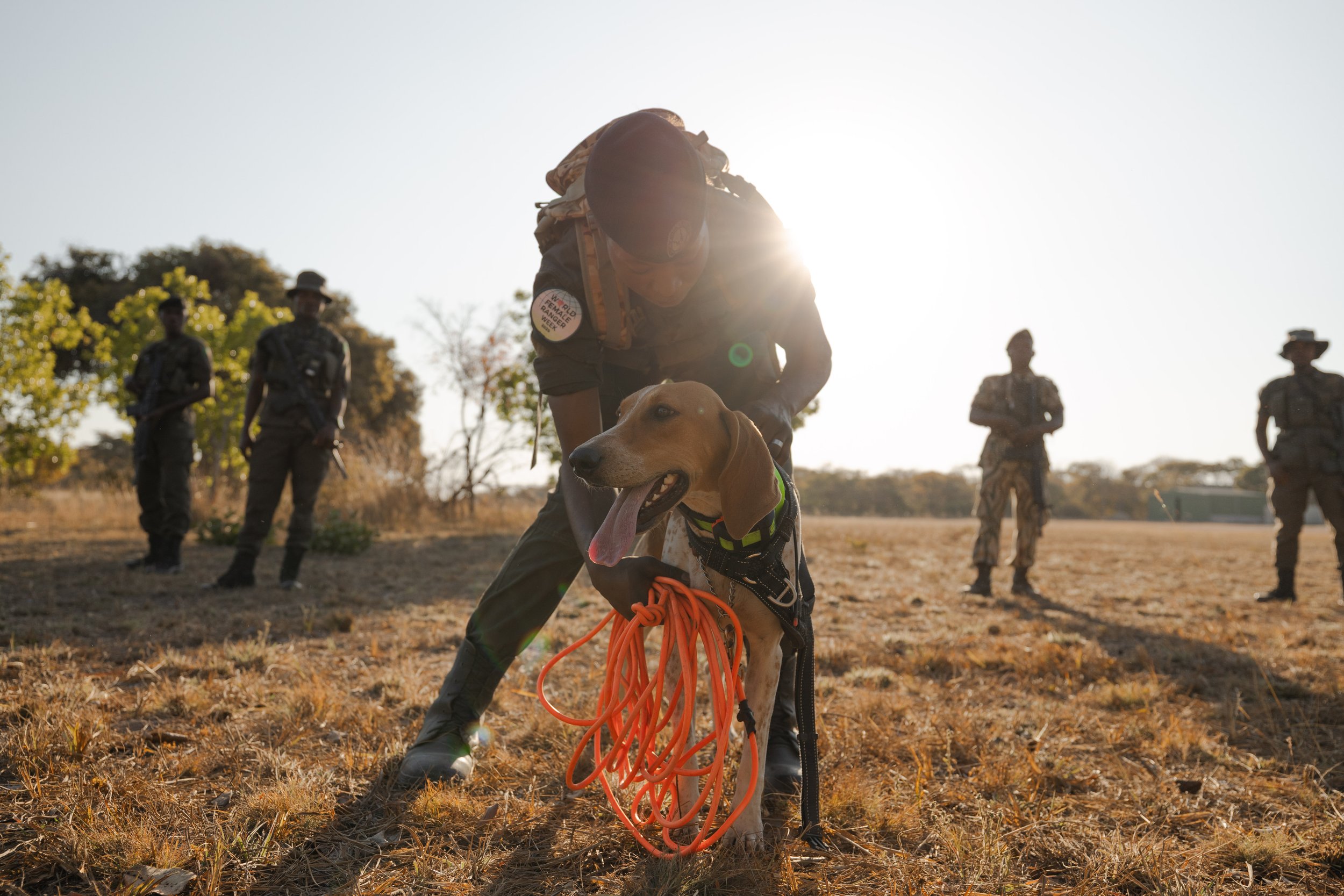 African_Parks_Kafue_K9_Unit_2025_Sarah_Wang-10.jpg