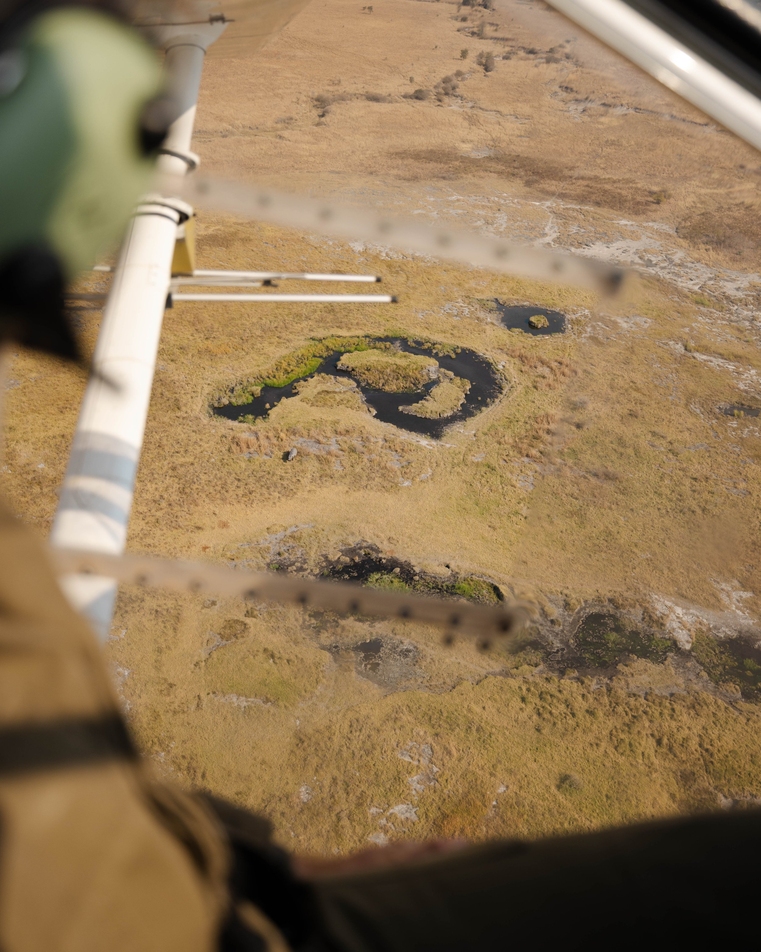 African_Parks_Kafue_Air_Patrol_2025_Sarah_Wang-22.jpg