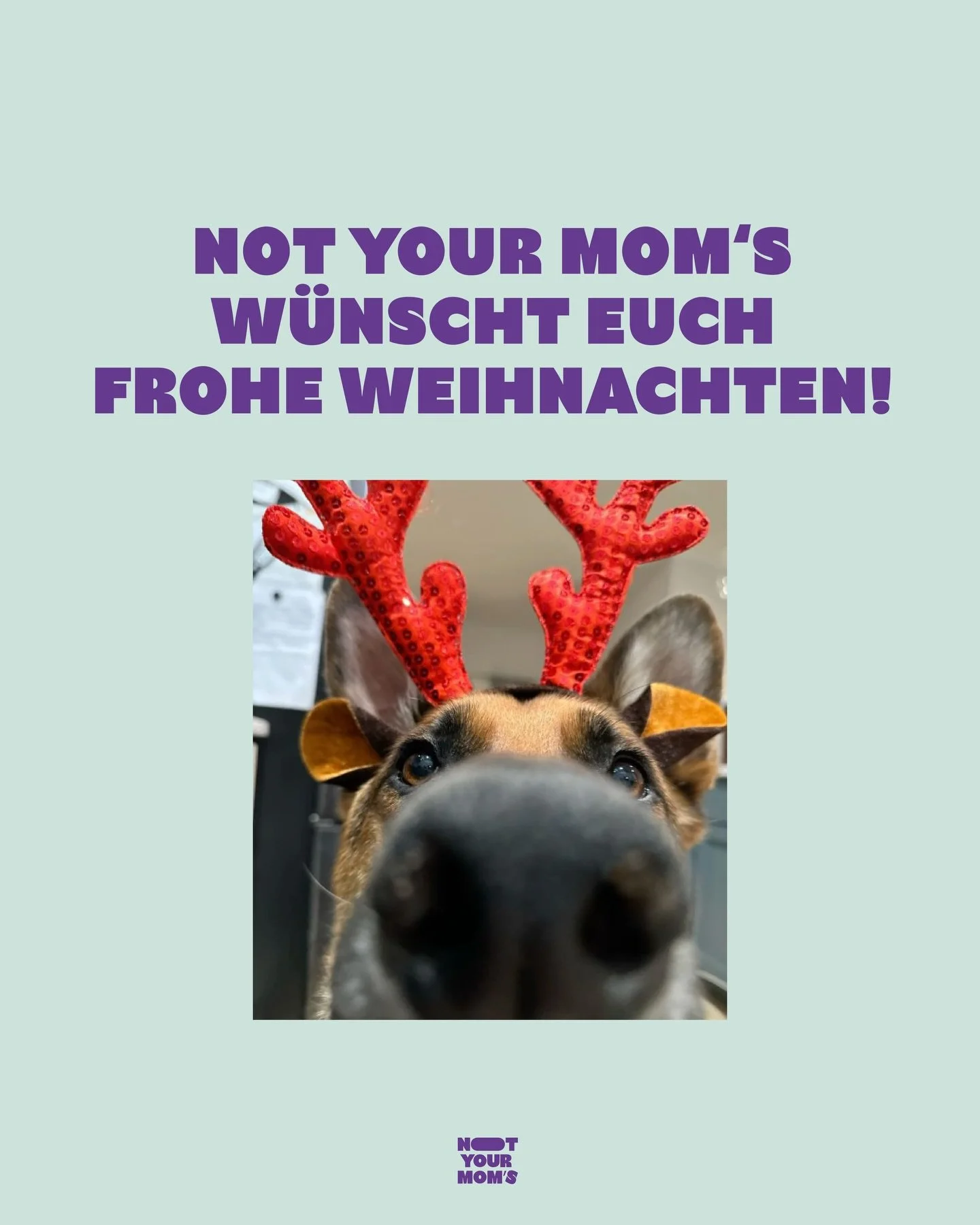 Das Not Your Mom&lsquo;s Team w&uuml;nscht euch Frohe Weihnachten und erholsame Feiertage! 💜